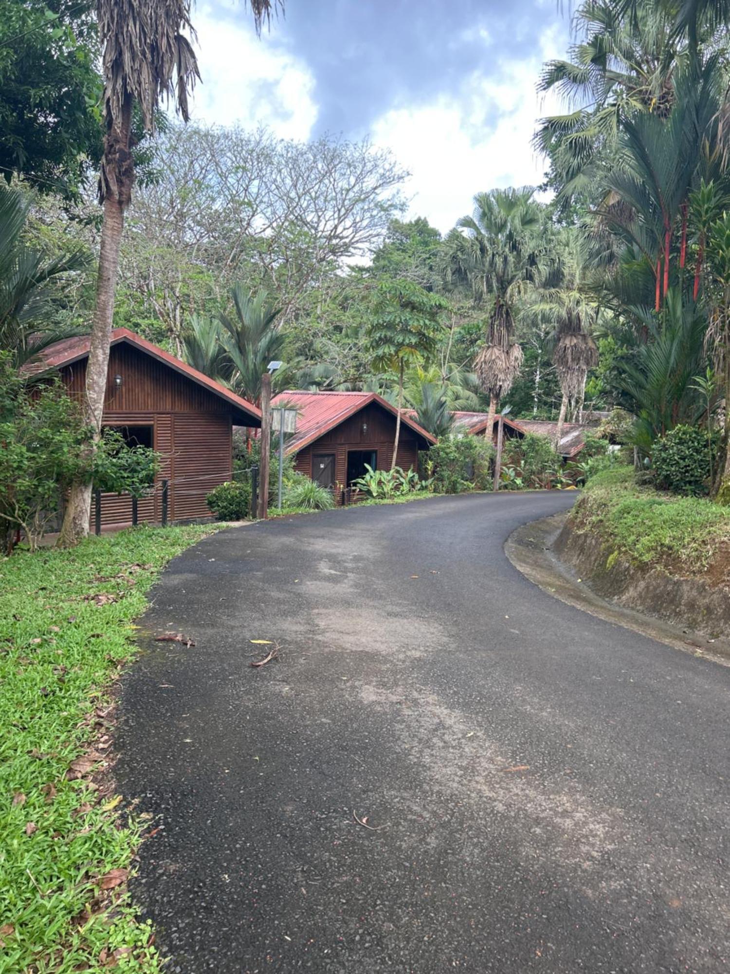 Hotel Pedacito De Cielo Boca Tapada ภายนอก รูปภาพ