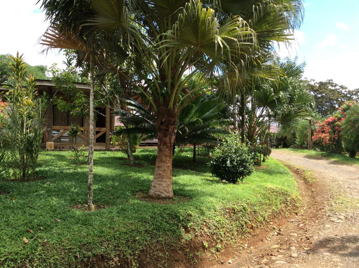 Hotel Pedacito De Cielo Boca Tapada ภายนอก รูปภาพ